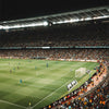 Semelles Multisports